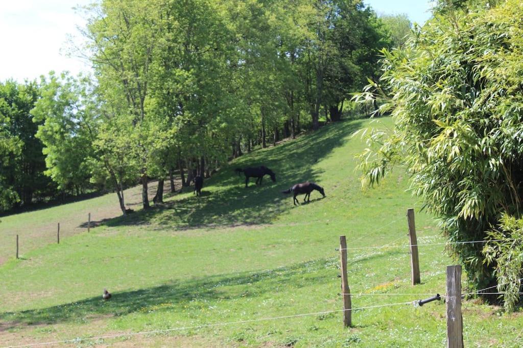 Les Merens Baulou Exterior foto
